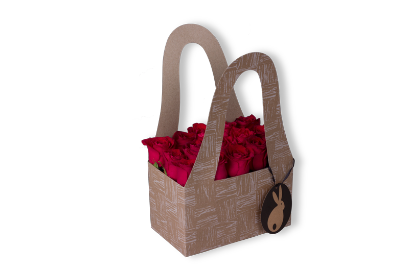 بوكس جيبسوفيلا