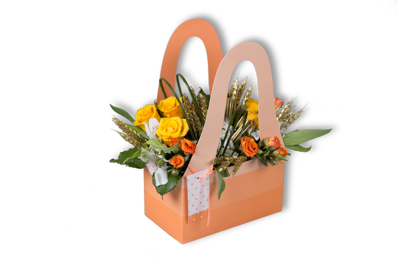 بوكس البوهيمية