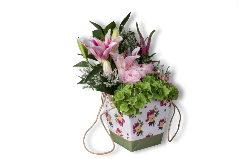 سلة هولبيتش