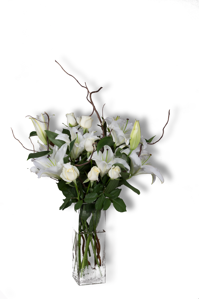 فازة الليلي 