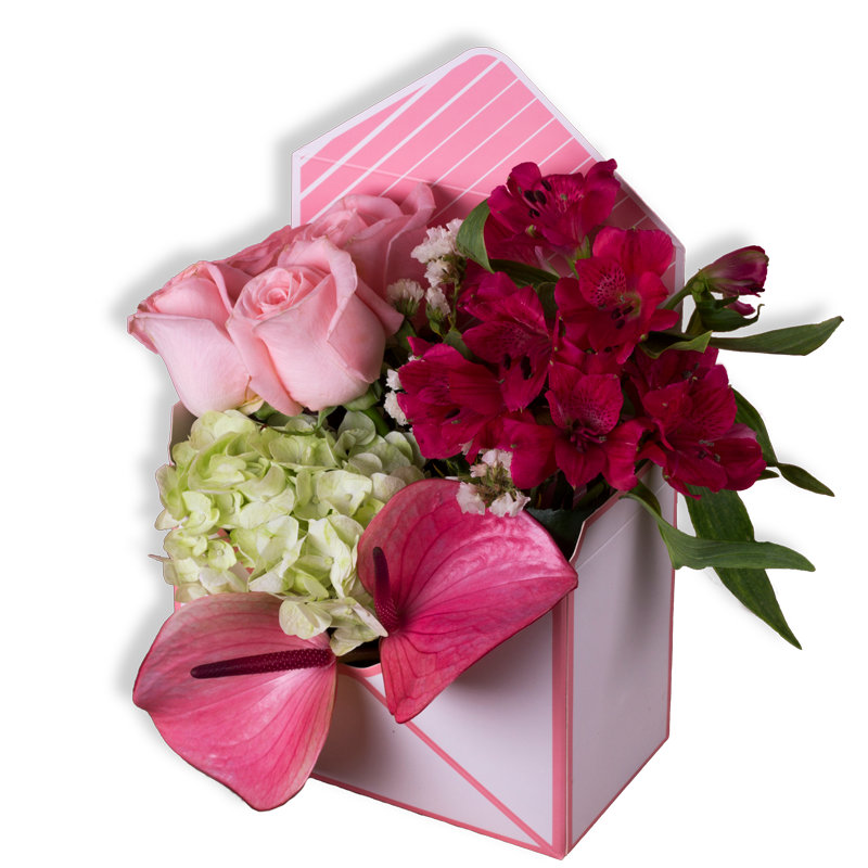 بوكس أوتوكستر