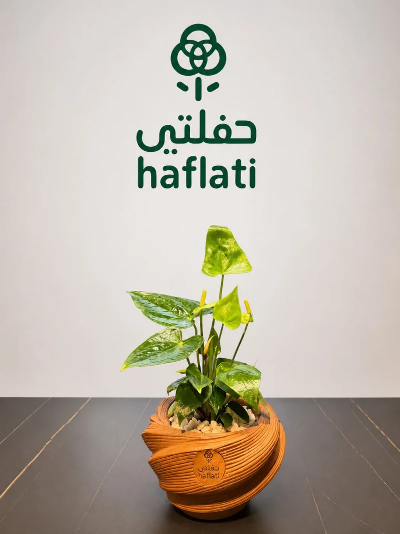 انتريوم مع فازة 