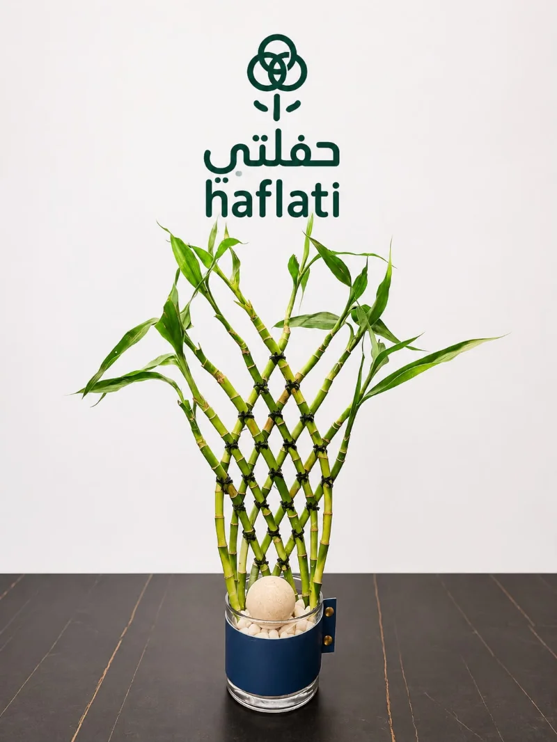 فاز مع بامبو 