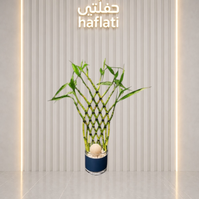 بامبو مع فاز