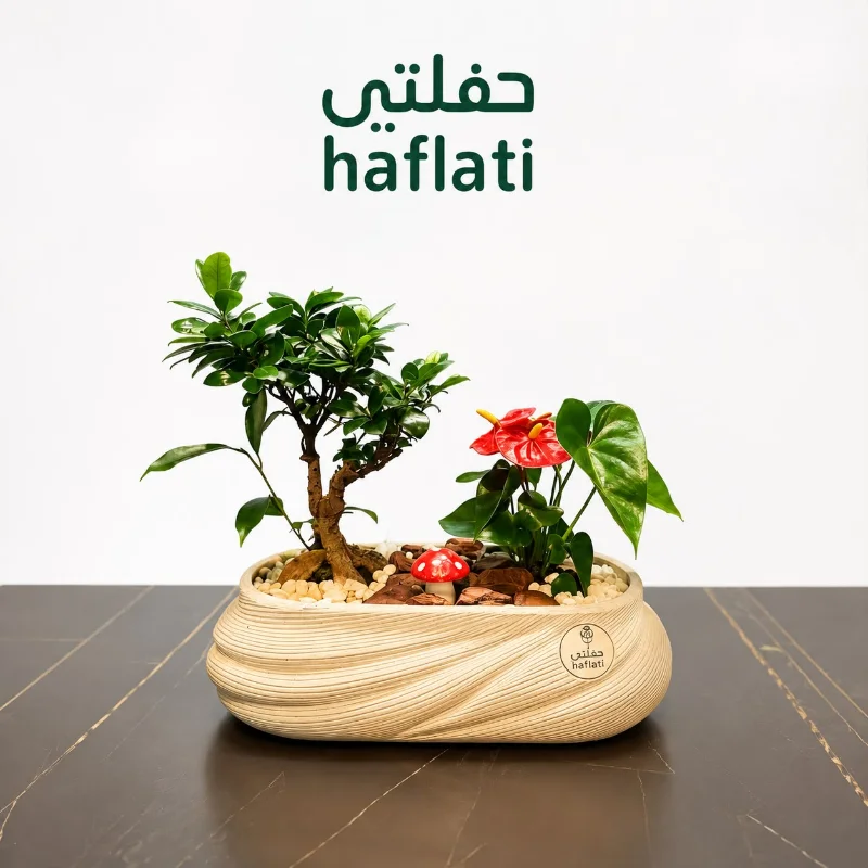 نباتات داخلية مع فاز وسط