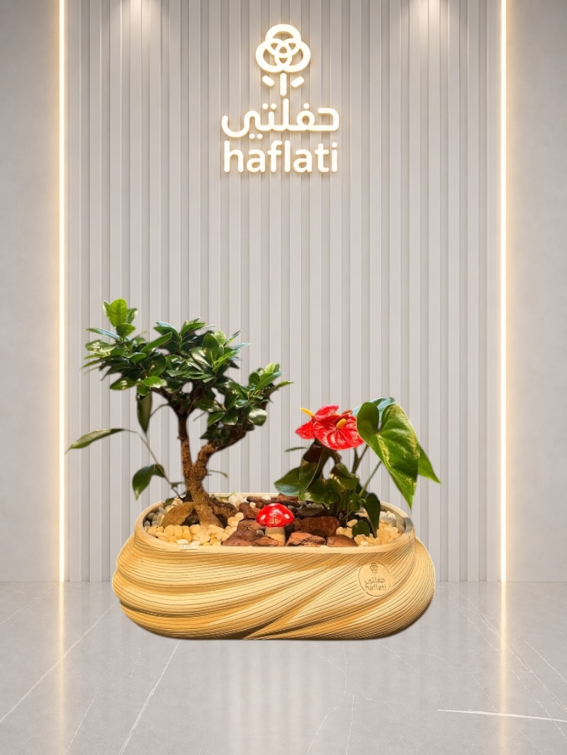 نبته داخليه مع فاز