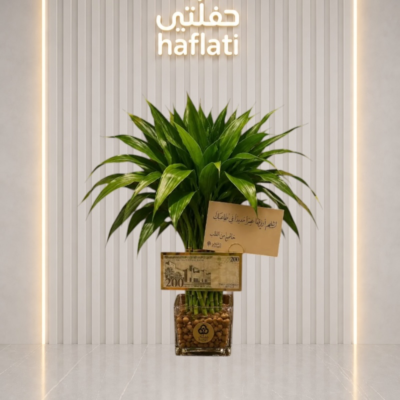 بامبو مع فاز