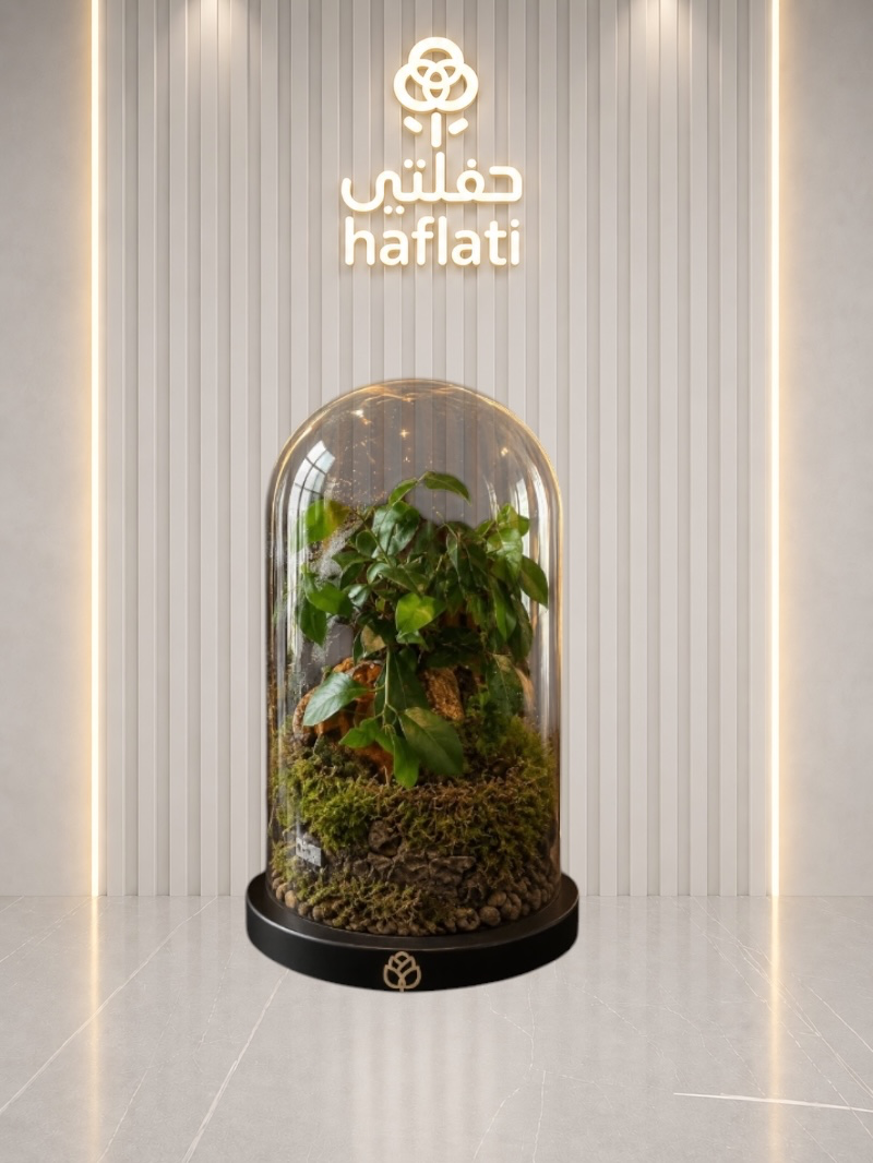 تيراريوم دائم